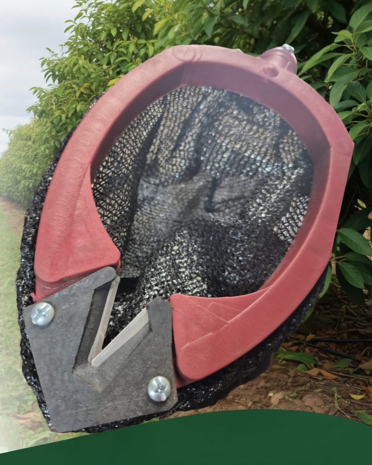 Canastilla de Cosecha